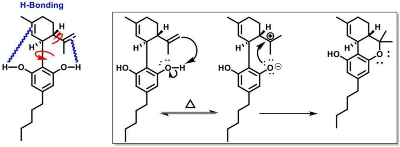 PMC11809059 – Fig9