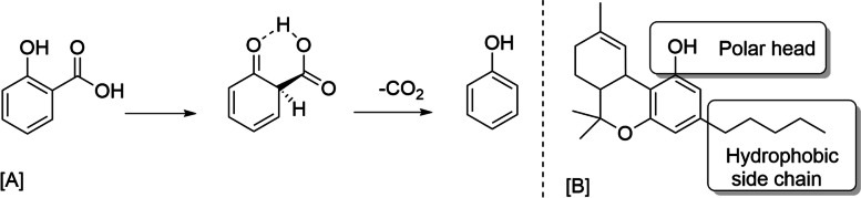 PMC11290075 – Fig1