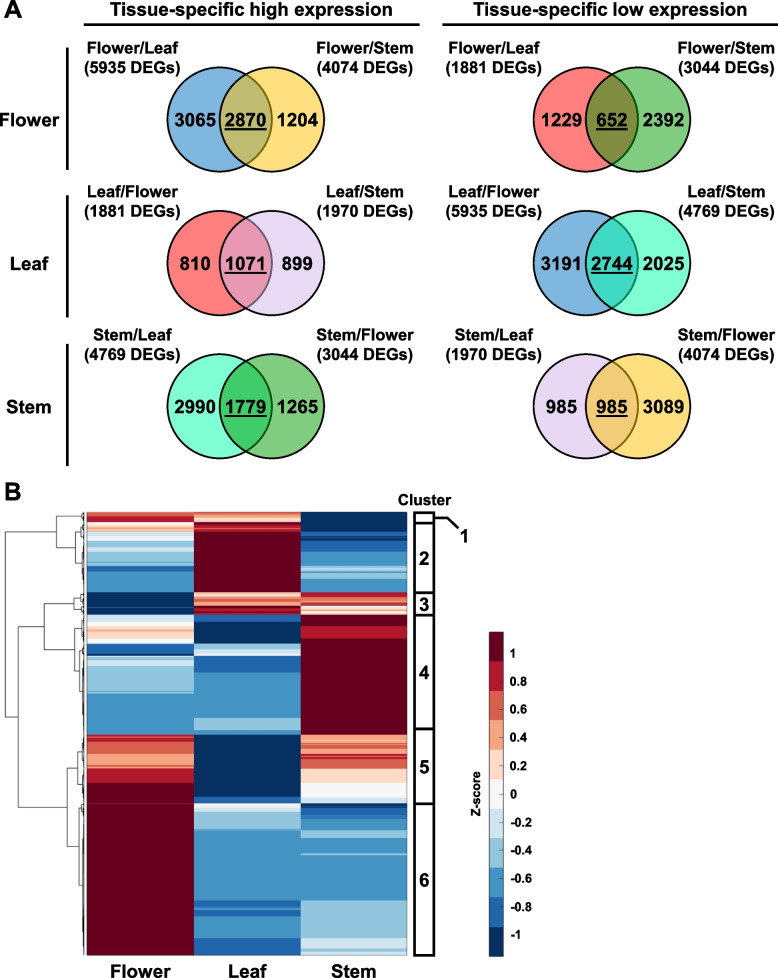 PMC11380790 – Fig3