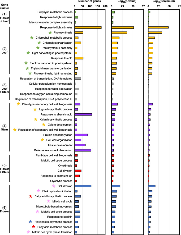 PMC11380790 – Fig4