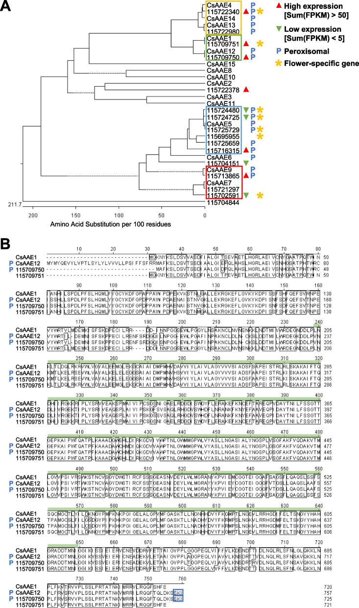 PMC11380790 – Fig6