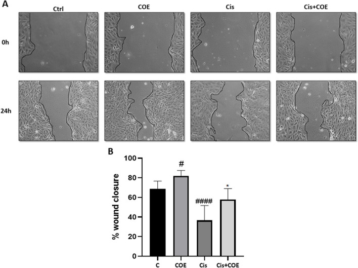 PMC11737194 – Fig3