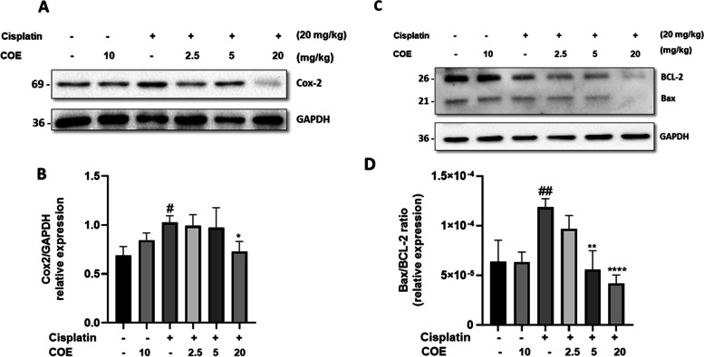 PMC11737194 – Fig6