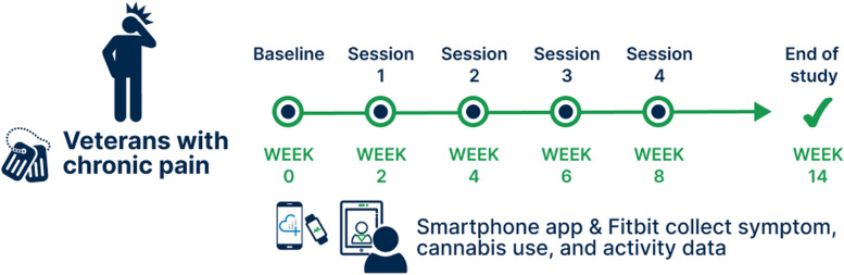 PMC11762892 – Fig1