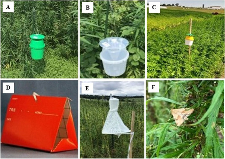 PMC11792316 – Fig2