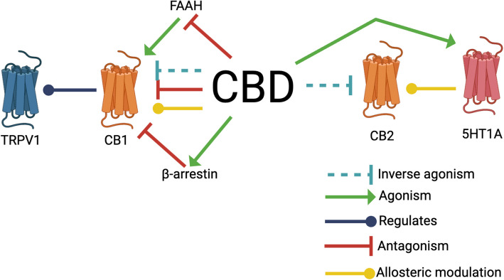 PMC12067965 – Fig2
