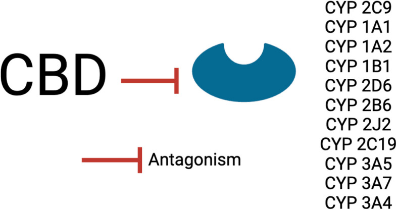 PMC12067965 – Fig4