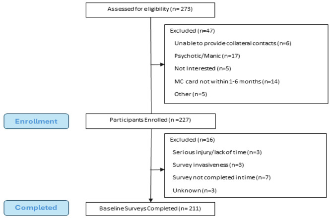 PMC12275431 – Fig1