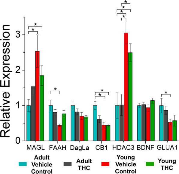 PMC12126871 – Fig2