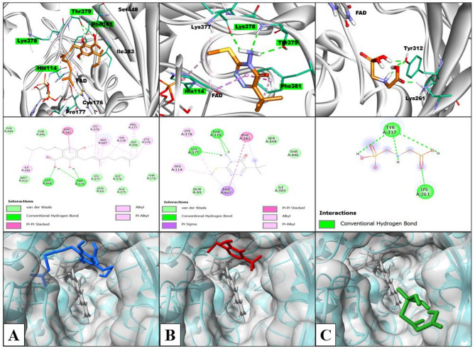 PMC12236017 – Fig9