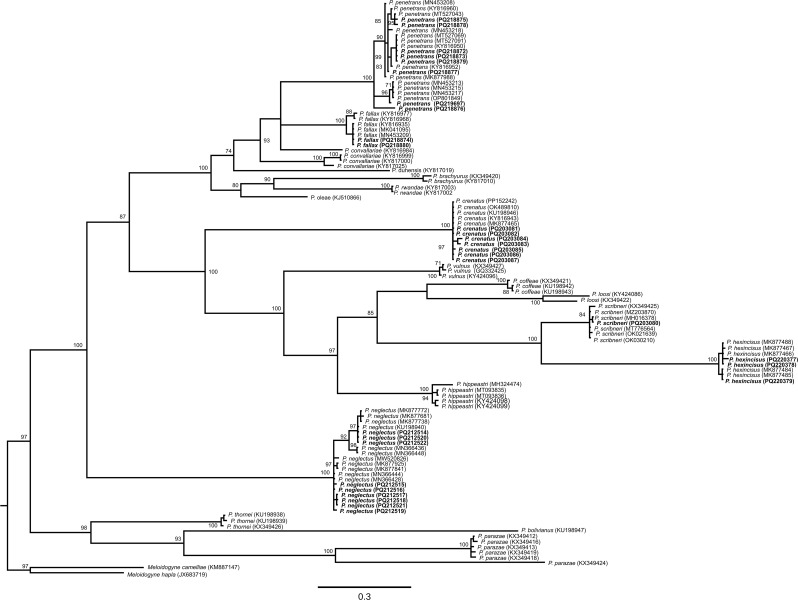 PMC12265197 – Fig1