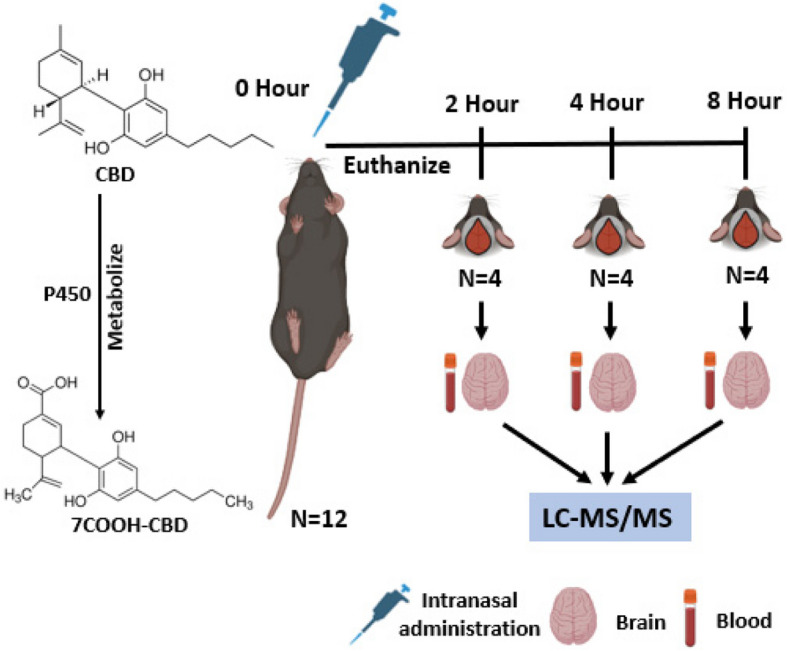 PMC12372218 – Fig1