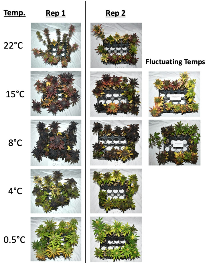PMC12309197 – Fig3