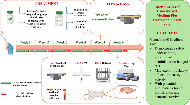 PMC12329929 – Fig1