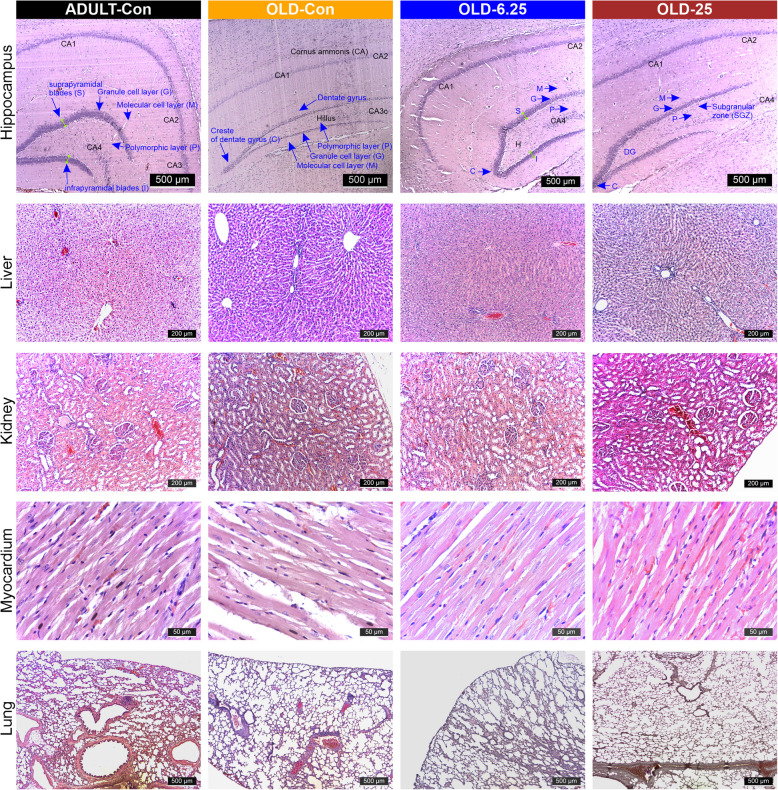 PMC12329929 – Fig6