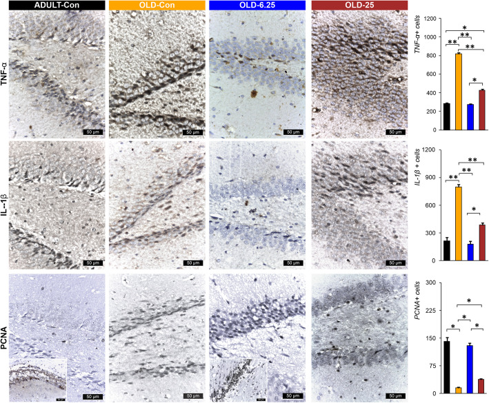 PMC12329929 – Fig8