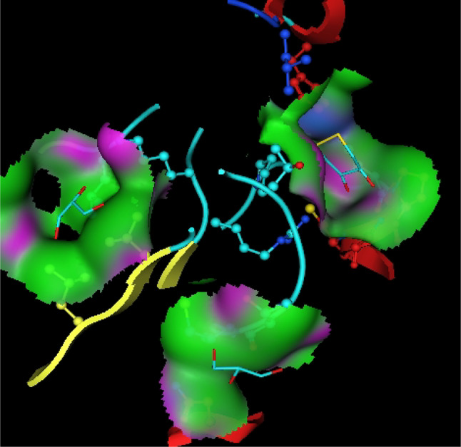 PMC12548243 – Fig13