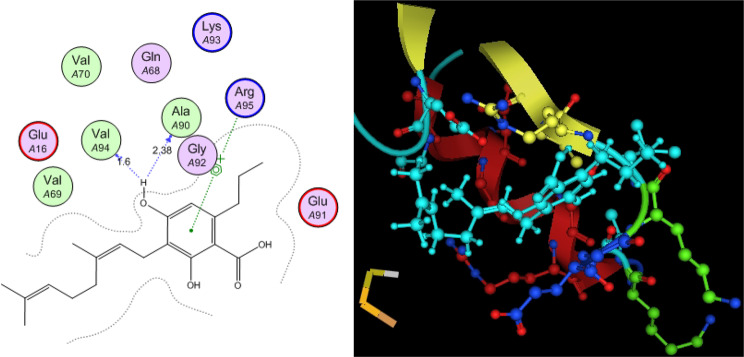 PMC12548243 – Fig17