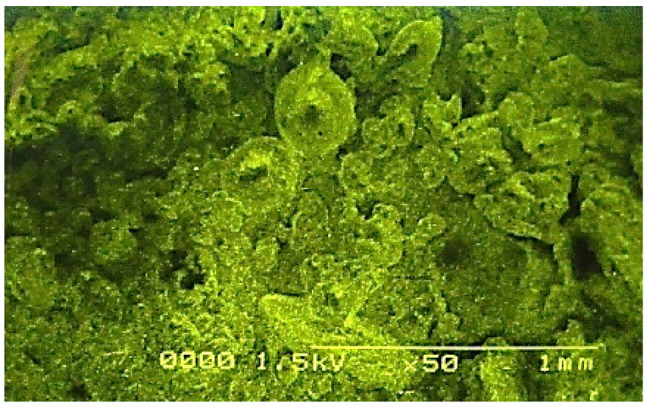 PMC12548243 – Fig6