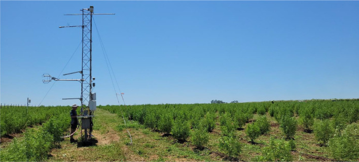 PMC12398160 – Figb