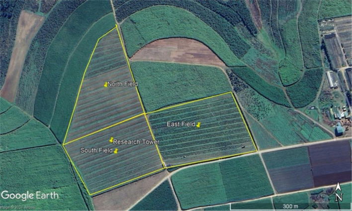 PMC12398160 – Figa