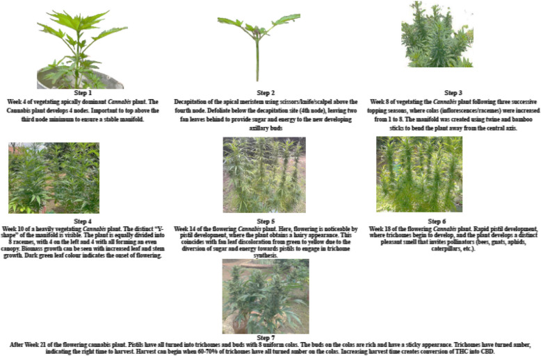 PMC12771868 – Fig5