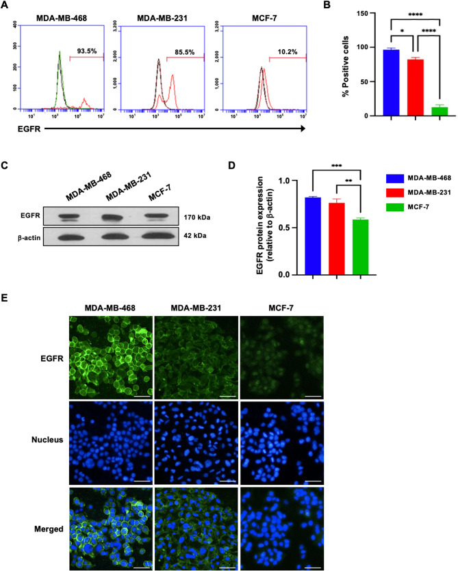 PMC12584368 – Fig1
