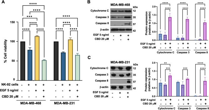 PMC12584368 – Fig4