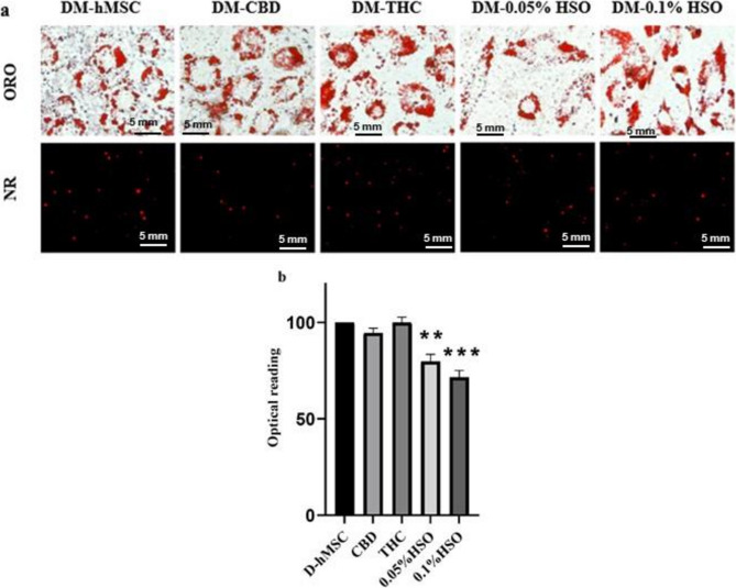 PMC12628899 – Fig1