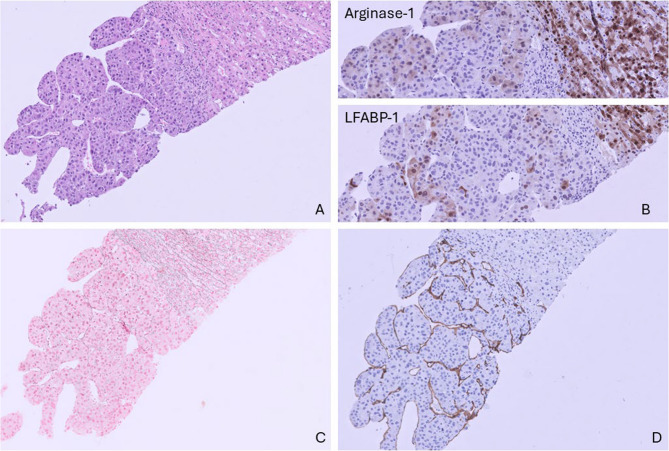 PMC12642083 – Fig1