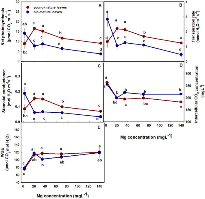 PMC12739851 – Fig4
