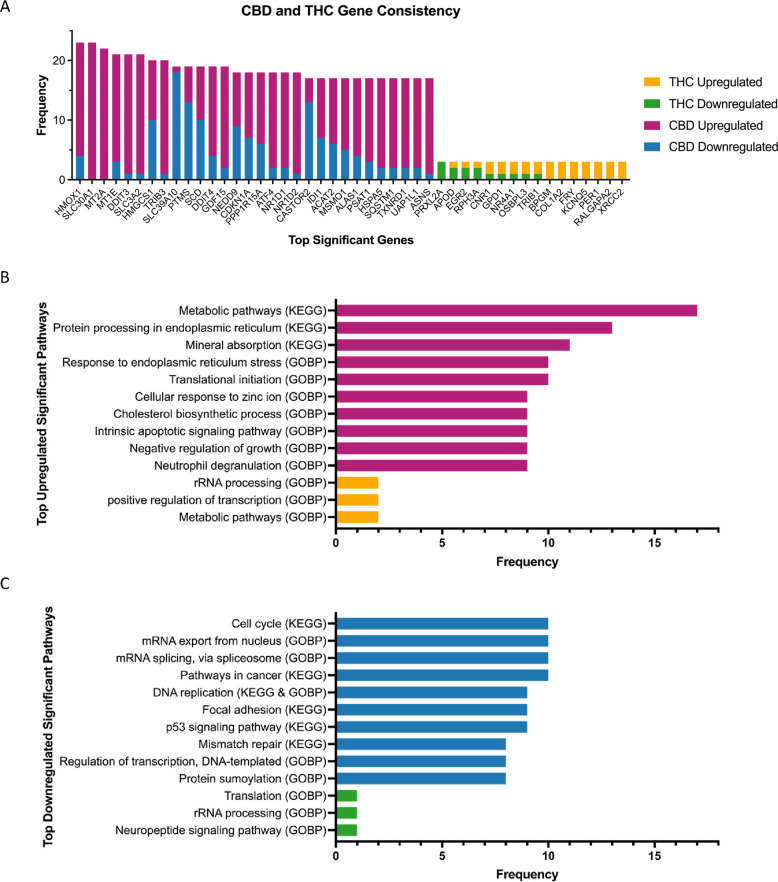 PMC12821297 – Fig6