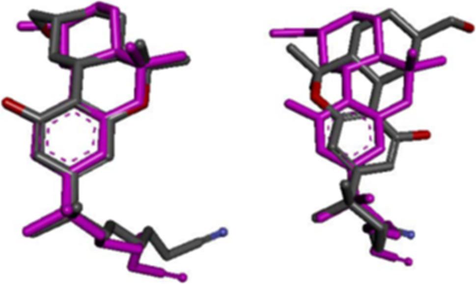 PMC13104410 – Fig2