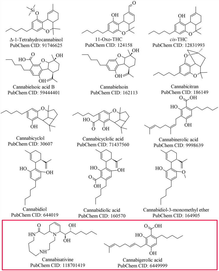 PMC13104410 – Fig3