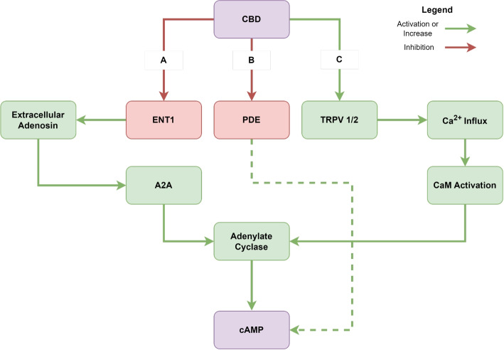 PMC12817681 – Fig2
