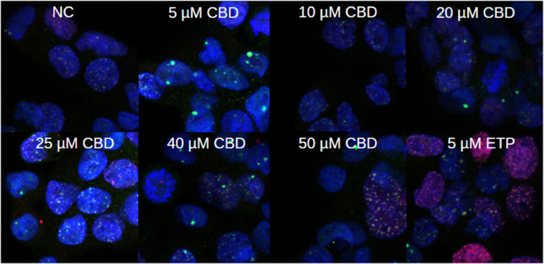 PMC12817681 – Fig6