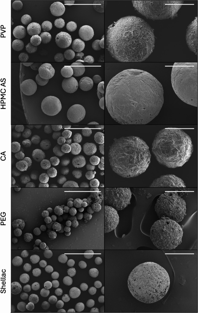 PMC12837605 – Fig2