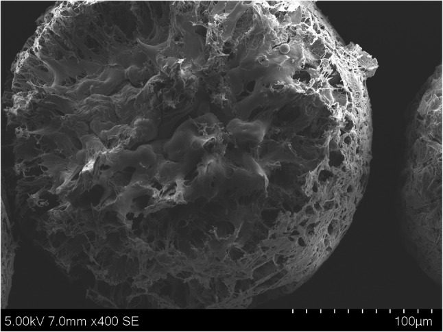 PMC12837605 – Fig3
