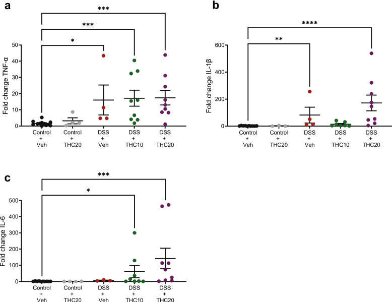 PMC12888137 – Fig5