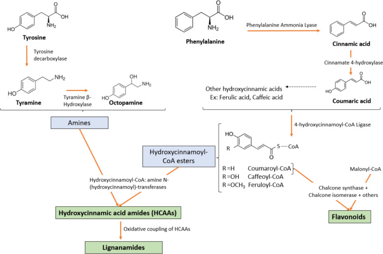 PMC12990579 – Fig2