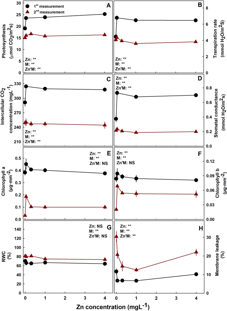 PMC12961903 – Fig5