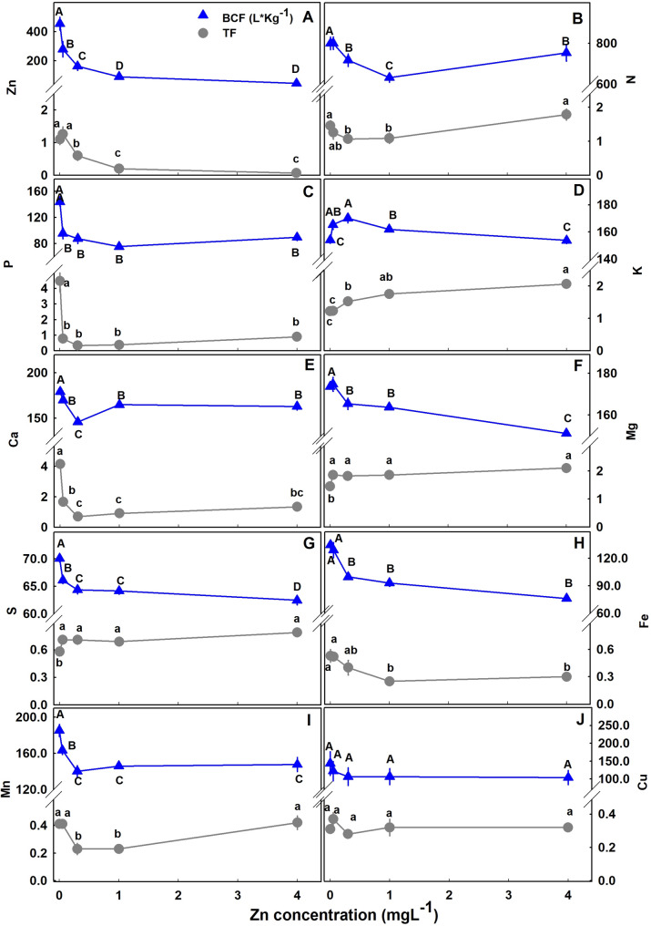 PMC12961903 – Fig7