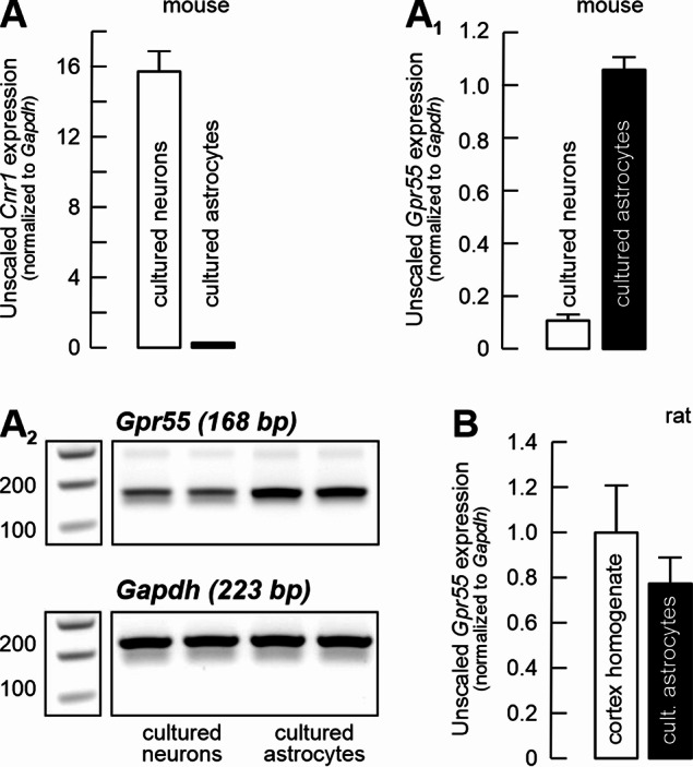 PMC13067723 – Fig2