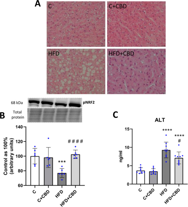 PMC13041381 – Fig5