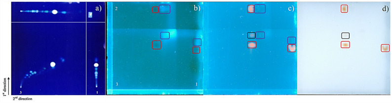 PMC13072474 – Fig1