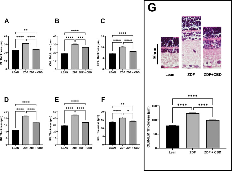 PMC13107786 – Fig15