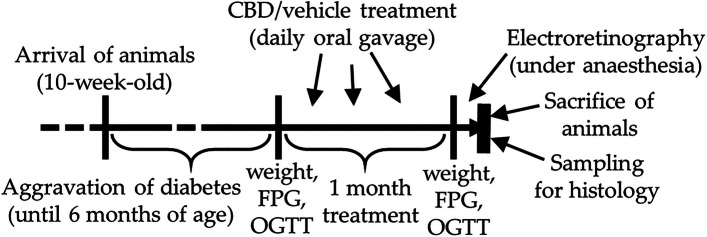 PMC13107786 – Fig1