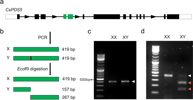 PMC12373676 – Fig1