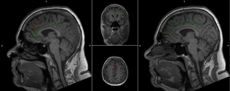 PMC11374863 – Fig1