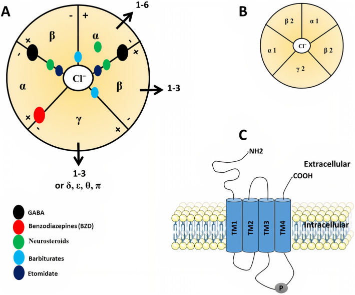 PMC8380214 – Fig1